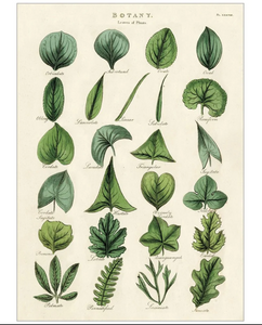 Botany Leaves - Wrap