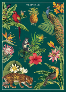 Tropicale Posters