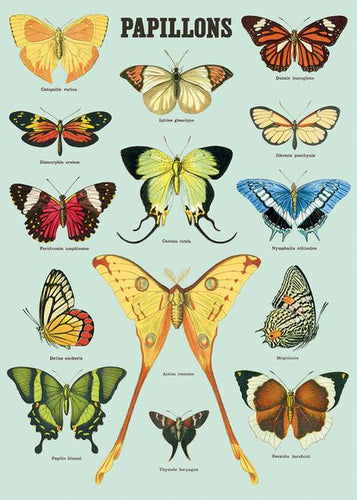Papillons Posters