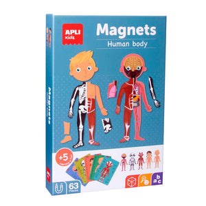 The Human Body Magnets
