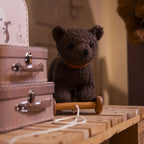 Raoul the Pull-Along Bear