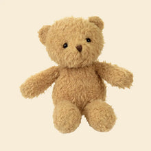 Morris the Bear Small