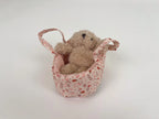 Mini Morris in a Carry Cot
