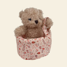 Mini Morris in a Carry Cot