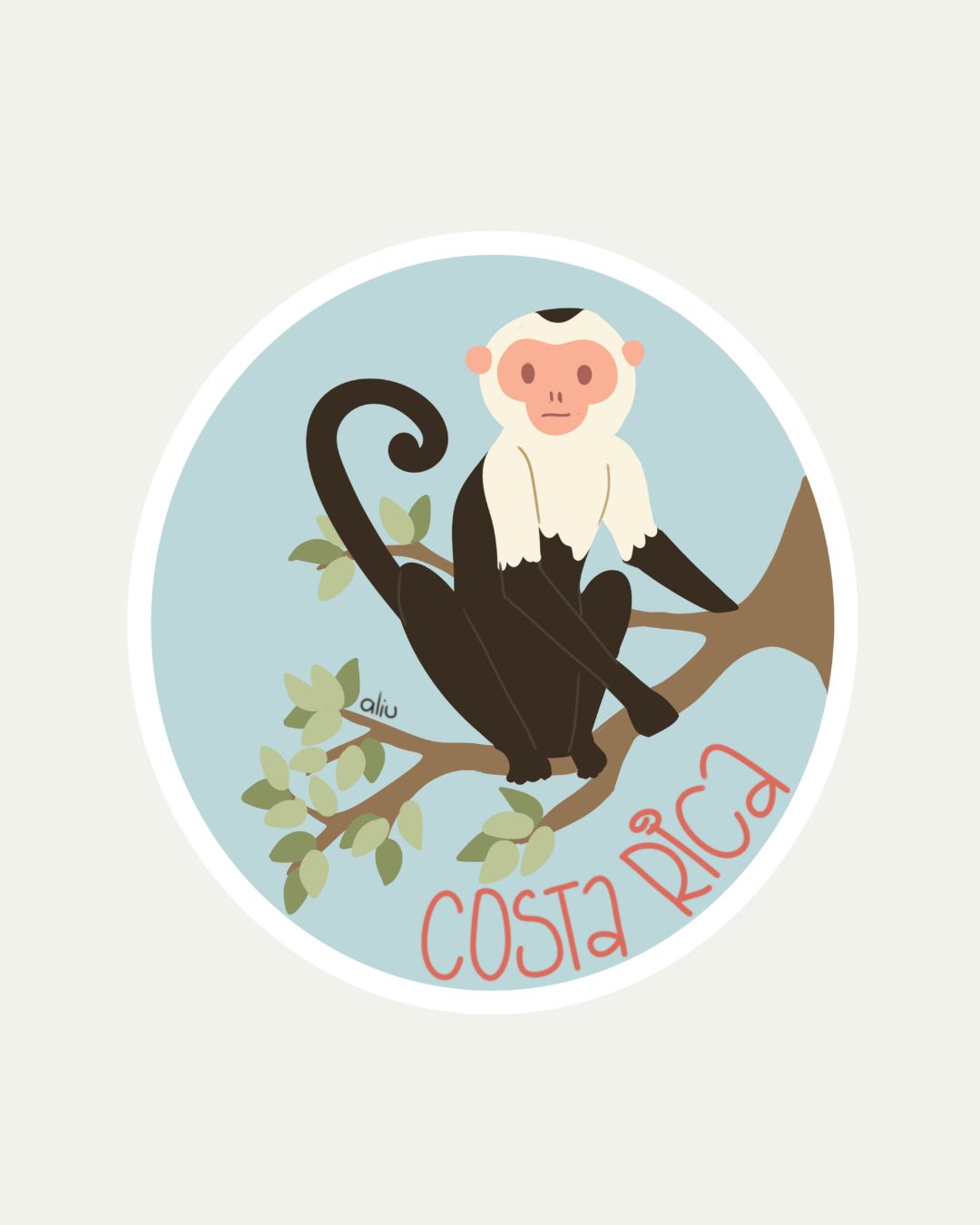 Bibidibú Stickers-Monkey Costa Rica