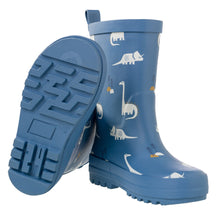 Rainboots Dino (3 tallas)