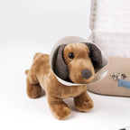 Edward the Dog Veterinary Case