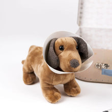 Edward the Dog Veterinary Case