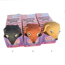 Stretchy Sausage Dog (3 colores)