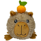 PBJ Capybara Collection