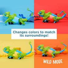 My Robotic Pet: Coding Chamele