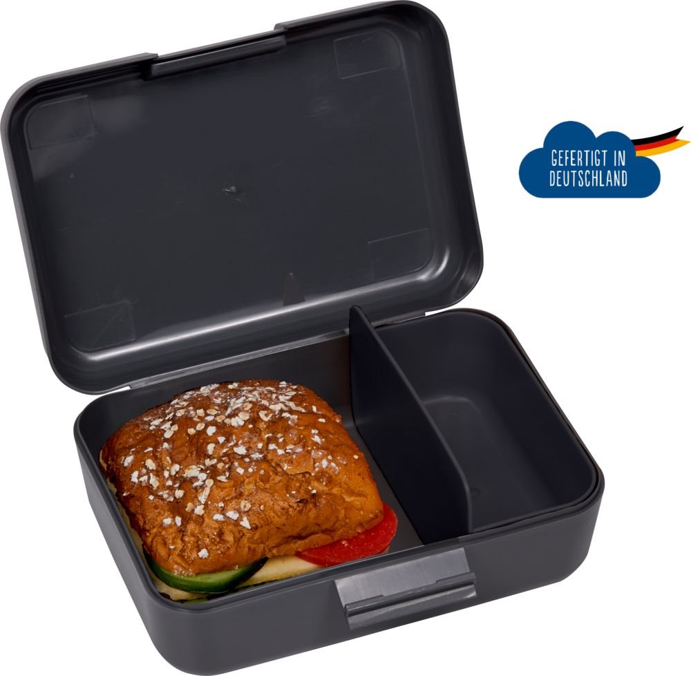 Sandwich box T-RexWorld