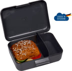 Sandwich box T-RexWorld