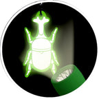 Glow in the Dard Key Chain Nature Zoom
