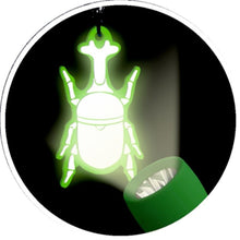 Glow in the Dard Key Chain Nature Zoom