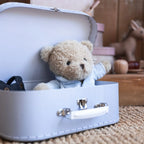 Morris Bear with Clothes in a Case