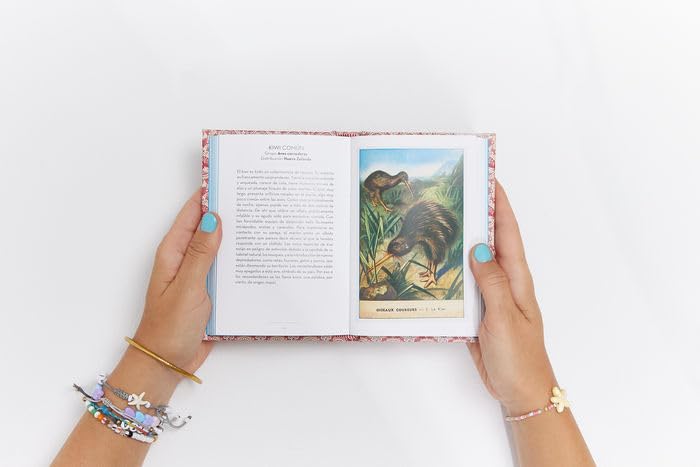 El Pequeño libro de las Aves