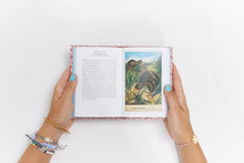 El Pequeño libro de las Aves