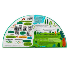 Explora los bosques en 360º