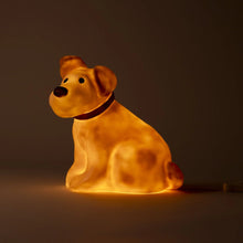 Lamp Eliot