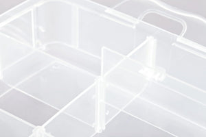 Compartment Box Transparent