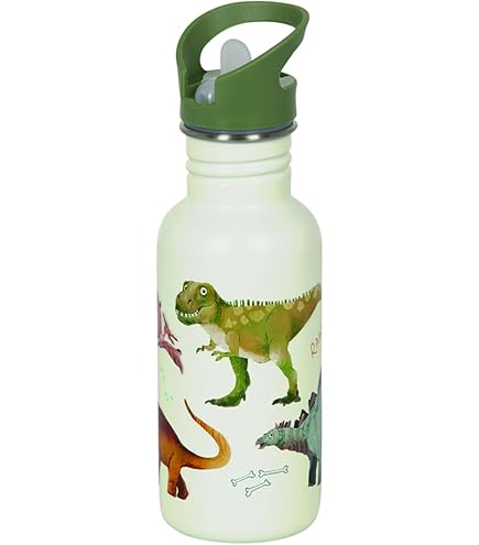 Stainless Steel Bottle Dino Friends