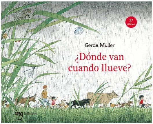 ¿Dónde van cuando llueve?(2a ed)