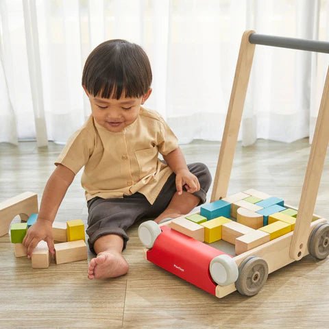 Baby Walker - Classic colors