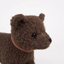 Raoul the Pull-Along Bear