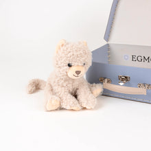 Egmont Toys Veterinary Case - Romy the Cat