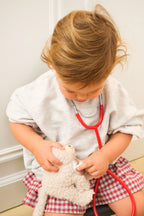 Egmont Toys Veterinary Case - Romy the Cat
