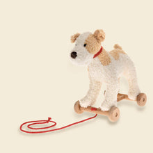 Eliot the Pull-Along Dog