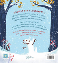 El ladrón de nieve