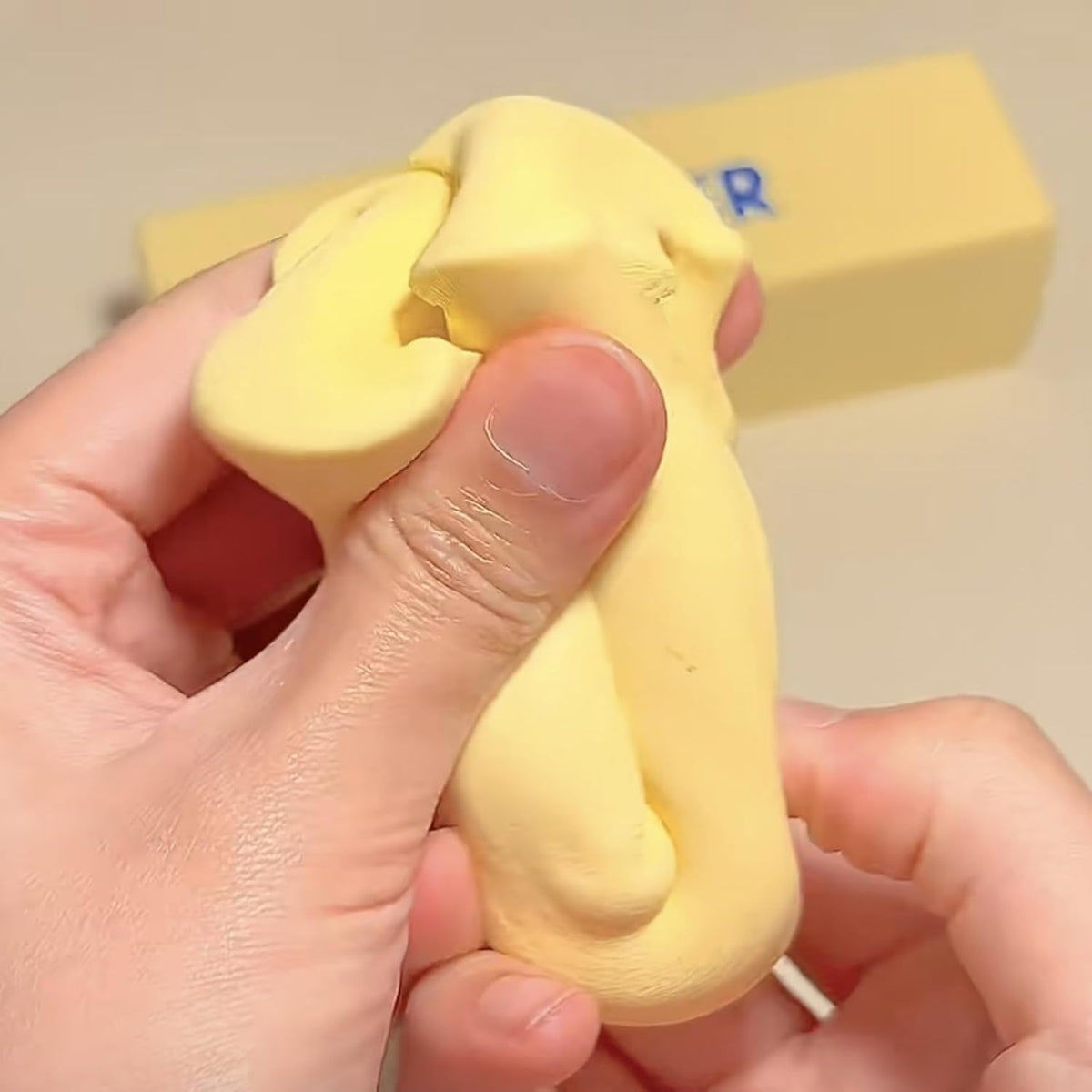 Butter Squishy 5" PW Toys