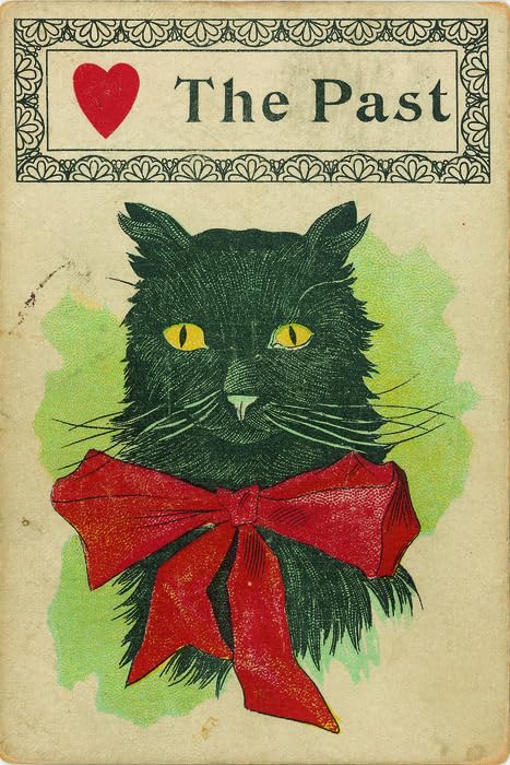 El pequeño libro de los Gatos