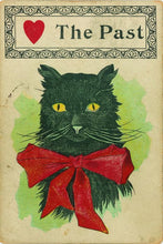 El pequeño libro de los Gatos