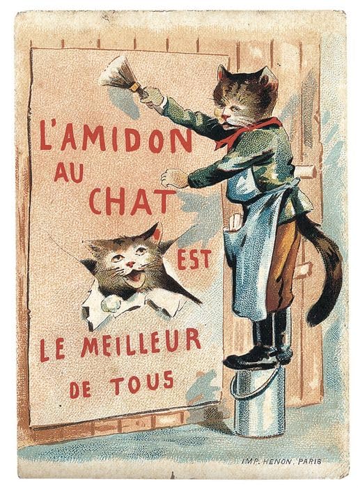 El pequeño libro de los Gatos