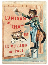 El pequeño libro de los Gatos