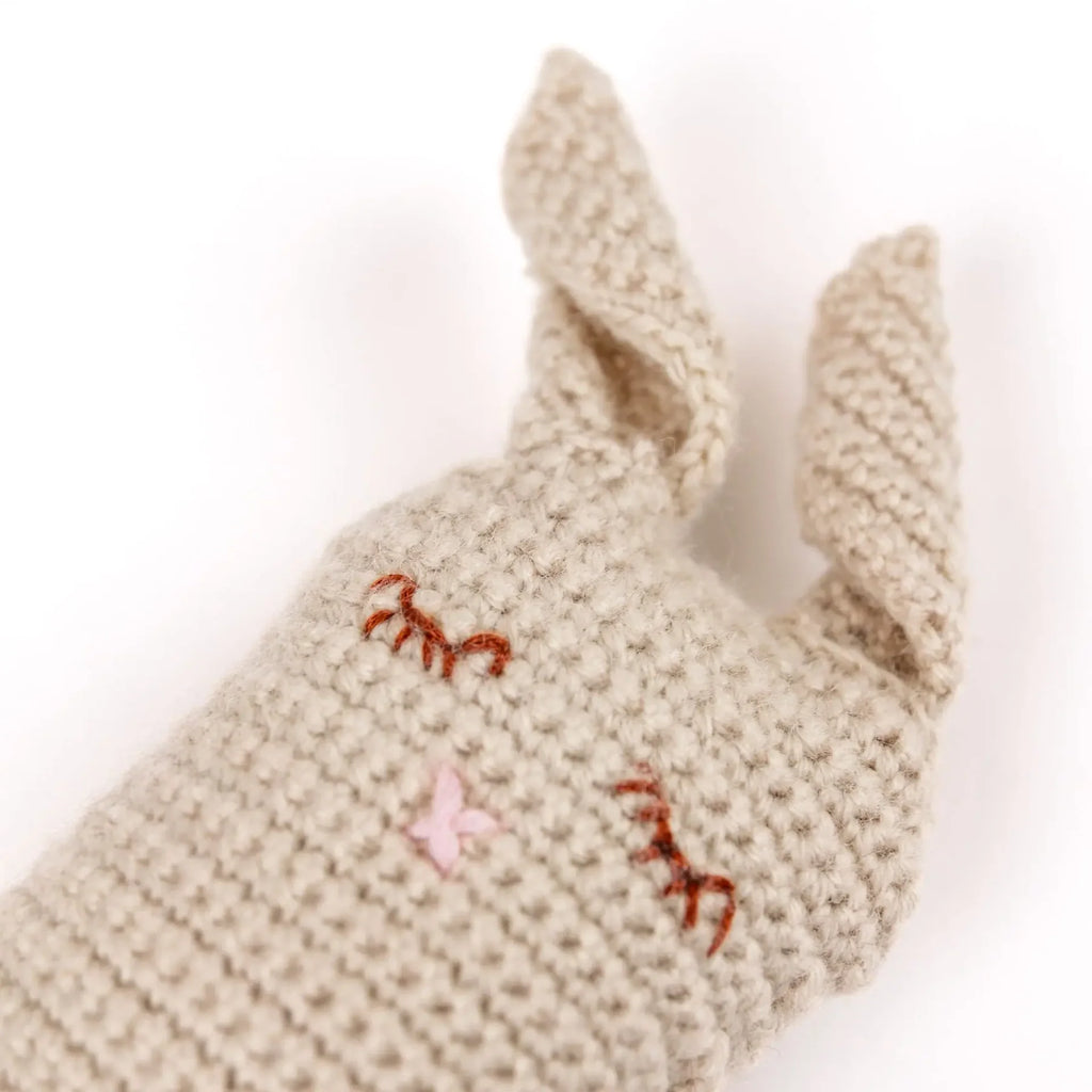 Beginner Rabbit Crochet Kit