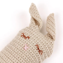 Beginner Rabbit Crochet Kit