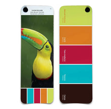 Paleta de colores de Costa Rica- Aves