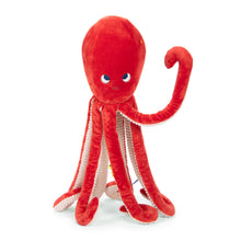 Pulpo gigante Aventuras de Paulie