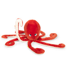 Pulpo gigante Aventuras de Paulie