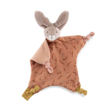 Doudou - Conejo Arcilla Trois petits lapins