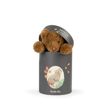 Muñeco oso Arthur (en caja)
