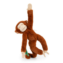 Mono Mochica de actividades