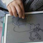 Mini Drawing Tablet  Animals Around The World