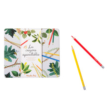 Caja 24 lapices acuarelables El Jardin de Moulin
