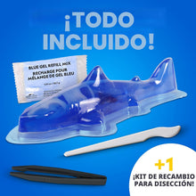 Glow-in-the-Dark Great White Shark Dissection Lab