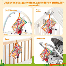 Joycat Baby Farm Cloth Book- Hand Carry